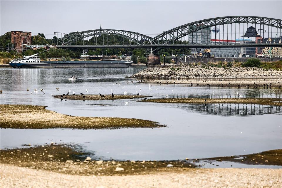 In Köln hat der Pegelstand einen historischen Tiefstwert erreicht.Oliver Berg/dpa