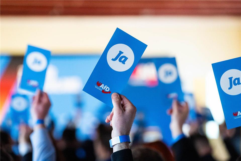 In Königs Wusterhausen hat sich der Landesverband der Generation Deutschland gegründet. Christophe Gateau/dpa