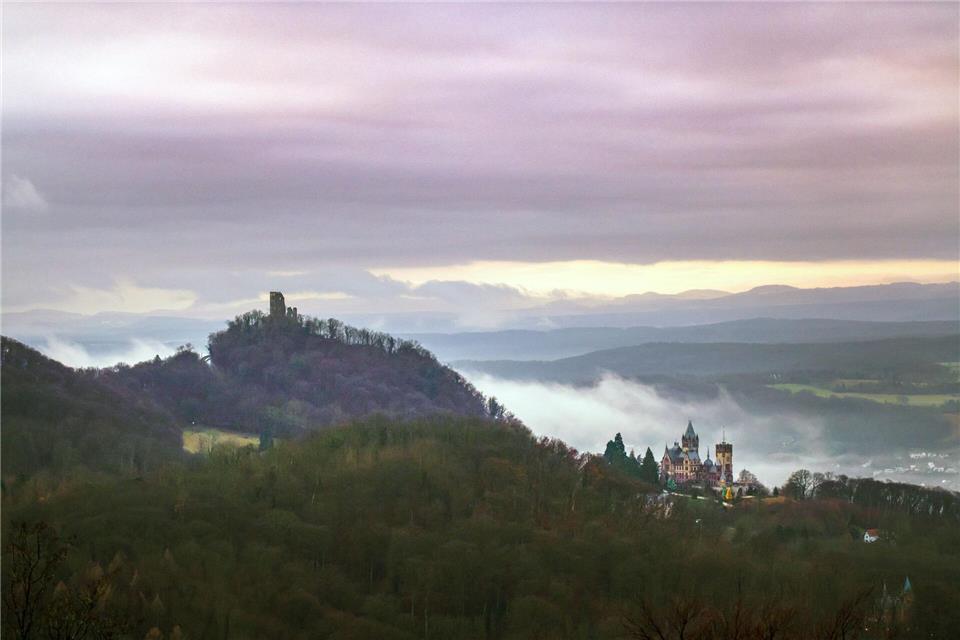 In Königswinter entsteht ein neues Ausflugsziel für kleine und große Dino-Fans. (Archivfoto)Thomas Banneyer/dpa