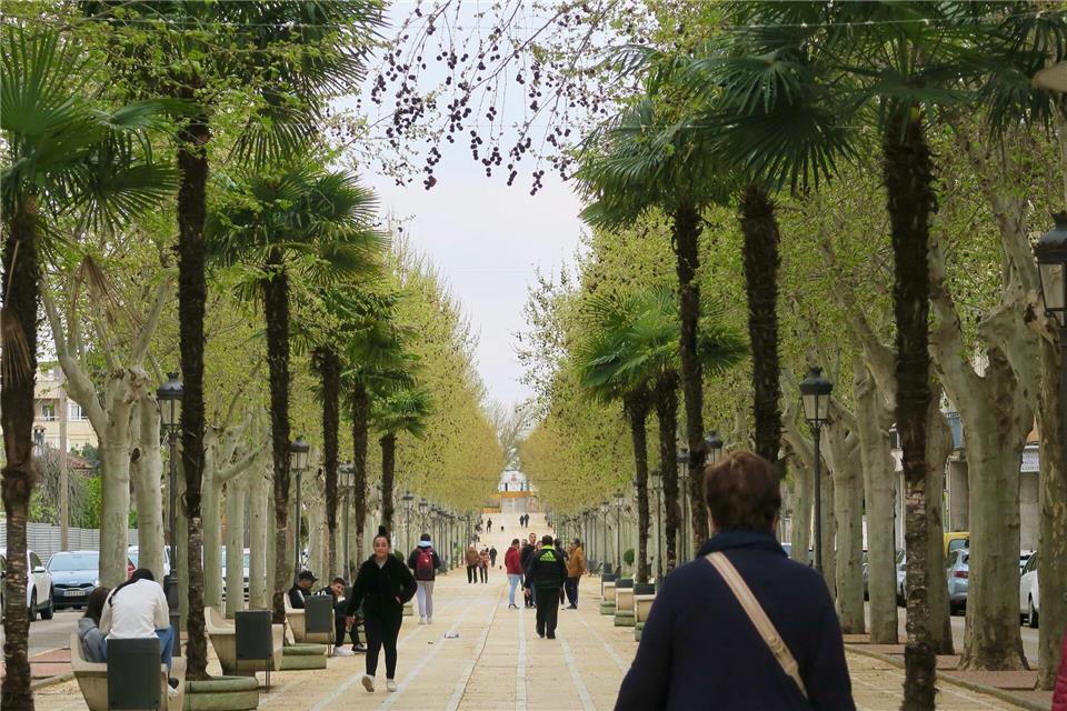 Olivenland: Auf den Spuren deutscher Siedler in Andalusien In La Carolina und den anderen Ortschaften der Nuevas Poblaciones können Touristen auf den Spuren deutscher Siedler wandeln.Daniela David/dpa-tmn