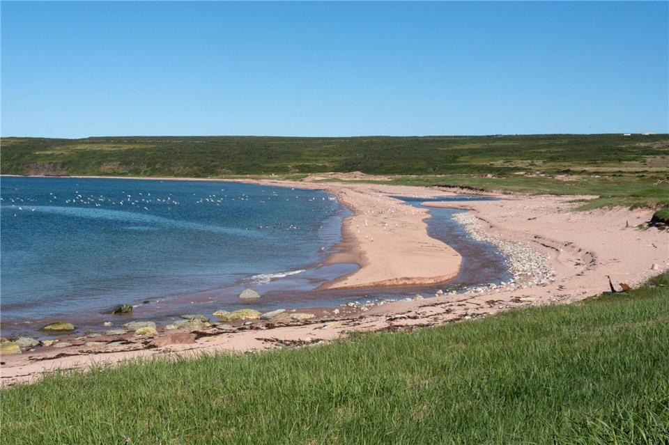 In Labrador sind die Strände pink - zumindest die von Forteau und L’Anse-Amour.Andreas Drouve/dpa-tmn