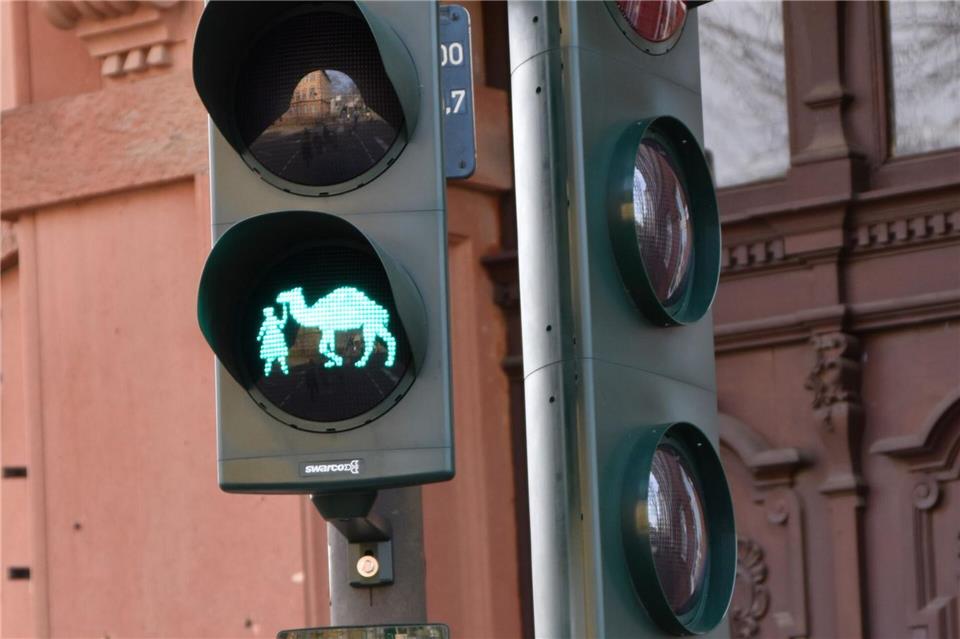 In Landau darf es sogar ein Dromedar sein. (Archivbild)--/Stadt Landau /dpa