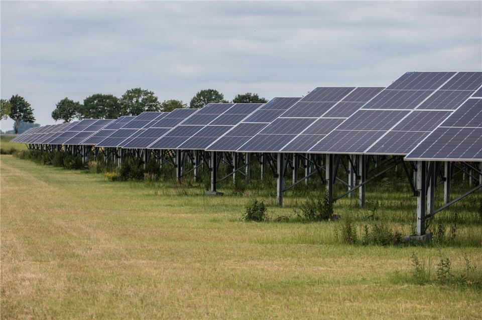 In Lemwerder an der Weser produzieren zahlreiche Solarmodule Strom auf einer Fläche, auf der auch Tierfutter angebaut wird.Focke Strangmann/dpa