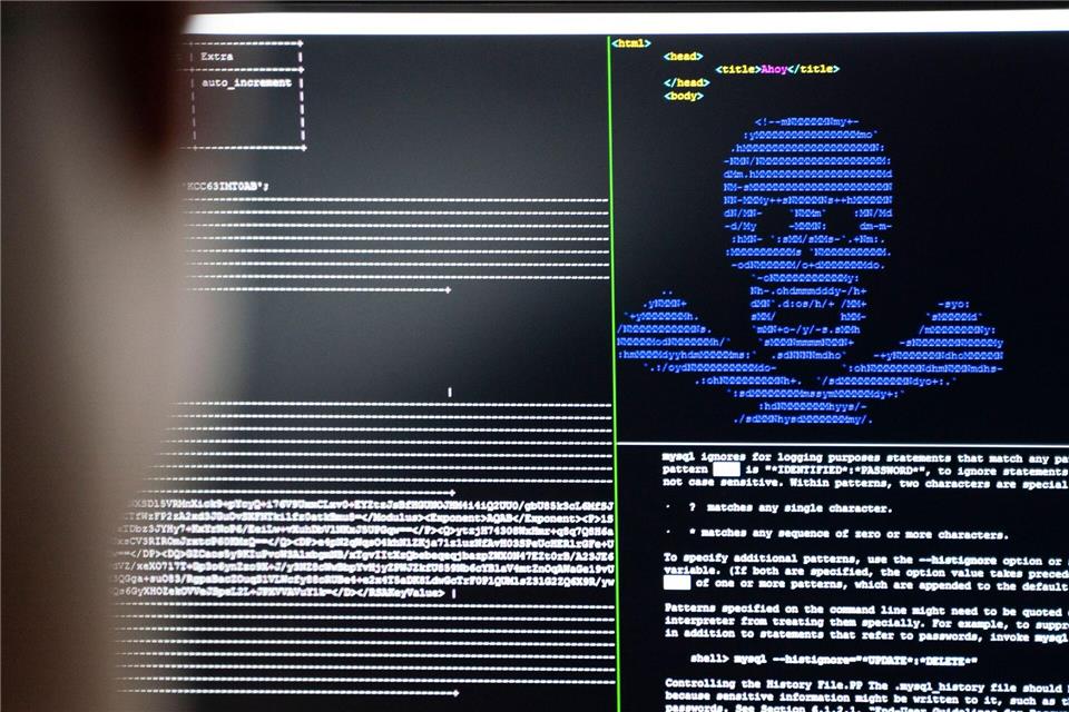 In MV wurden zuletzt mehr Ransomware-Angriffe polizeilich registriert. (Symbolbild)Frank Rumpenhorst/dpa