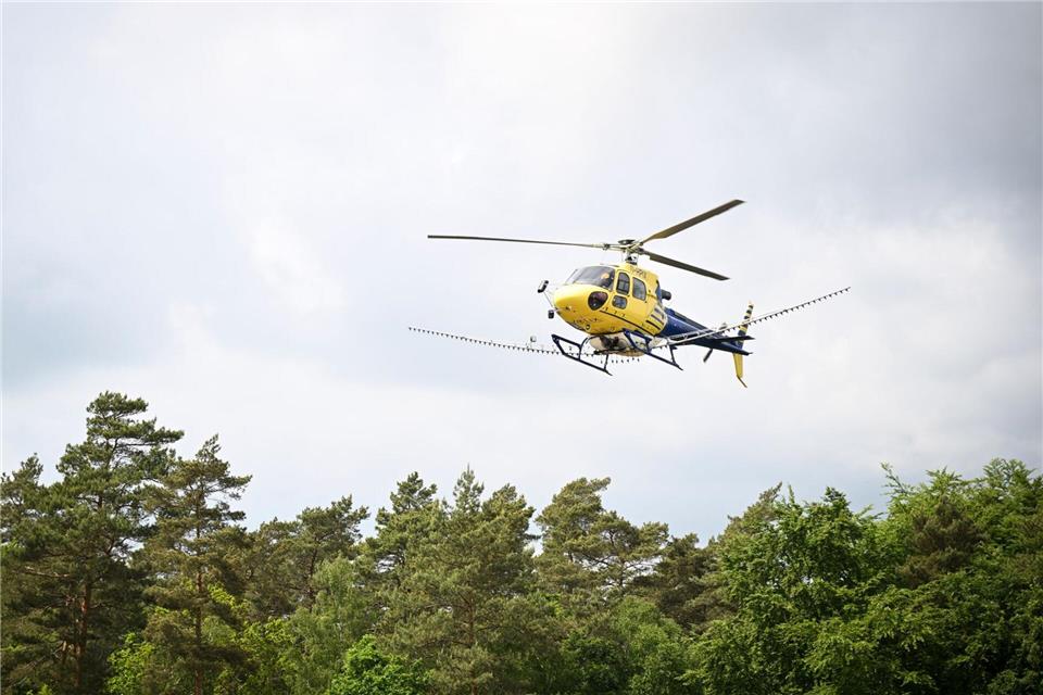 In Mecklenburg-Vorpommern, Sachsen-Anhalt und Brandenburg wurde vom Hubschrauber aus bakterienbasiertes Insektizid versprüht.Philip Dulian/dpa