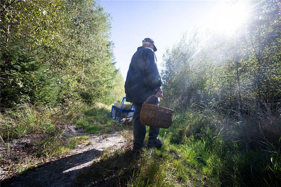 In Mecklenburg-Vorpommern arbeiten mehr als 40 Pilzberater ehrenamtlich.Philip Dulian/dpa