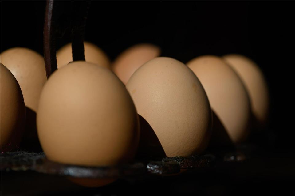 In Möglingen wurden auch Häuser mit Eiern beworfen. (Symbolbild)Robert Michael/dpa