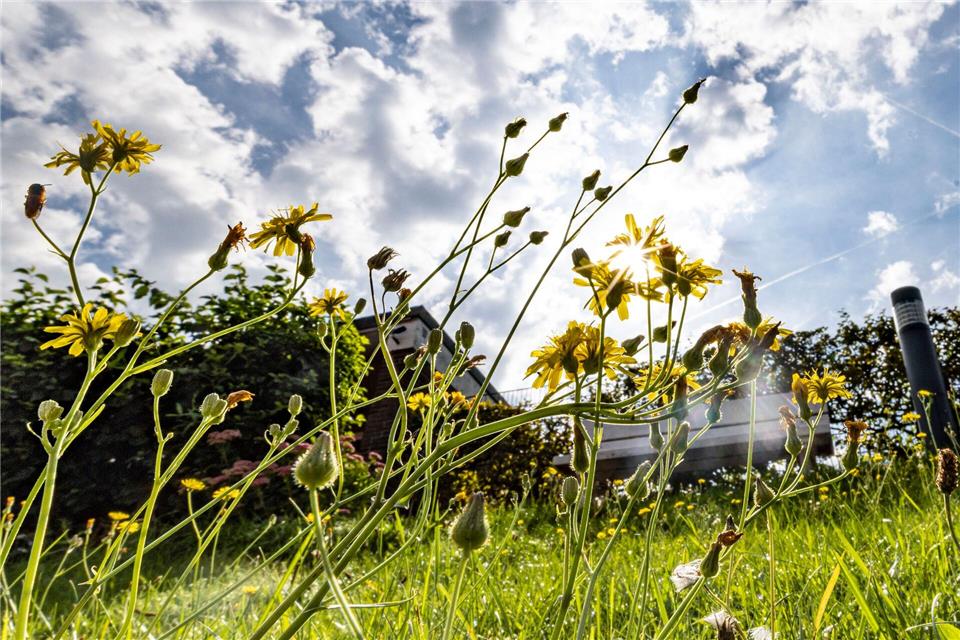 In NRW bleibt es das ganze Wochenende über sonnig. (Symbolbild) Christoph Reichwein/dpa