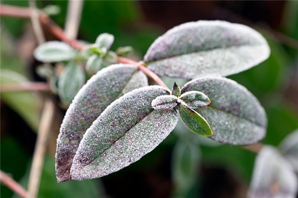 In NRW bleibt es kalt und frostig. (Archivbild)Roberto Pfeil/dpa