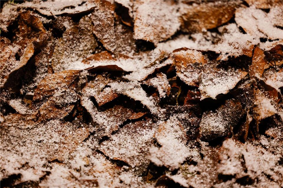 In NRW kann am Wochenende Schnee fallen.Thomas Banneyer/dpa