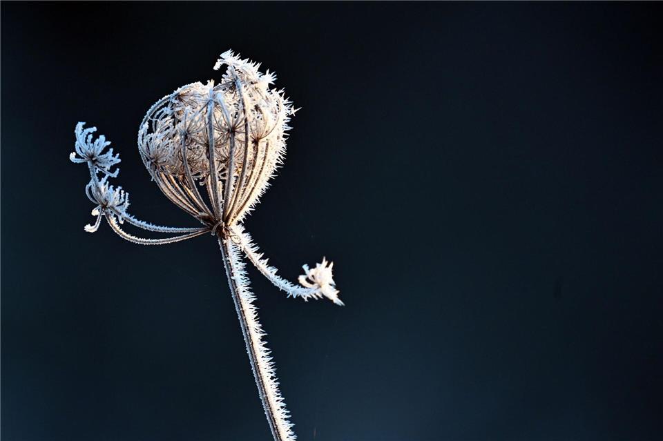 In NRW wird es wieder kälter. (Archivfoto)Federico Gambarini/dpa