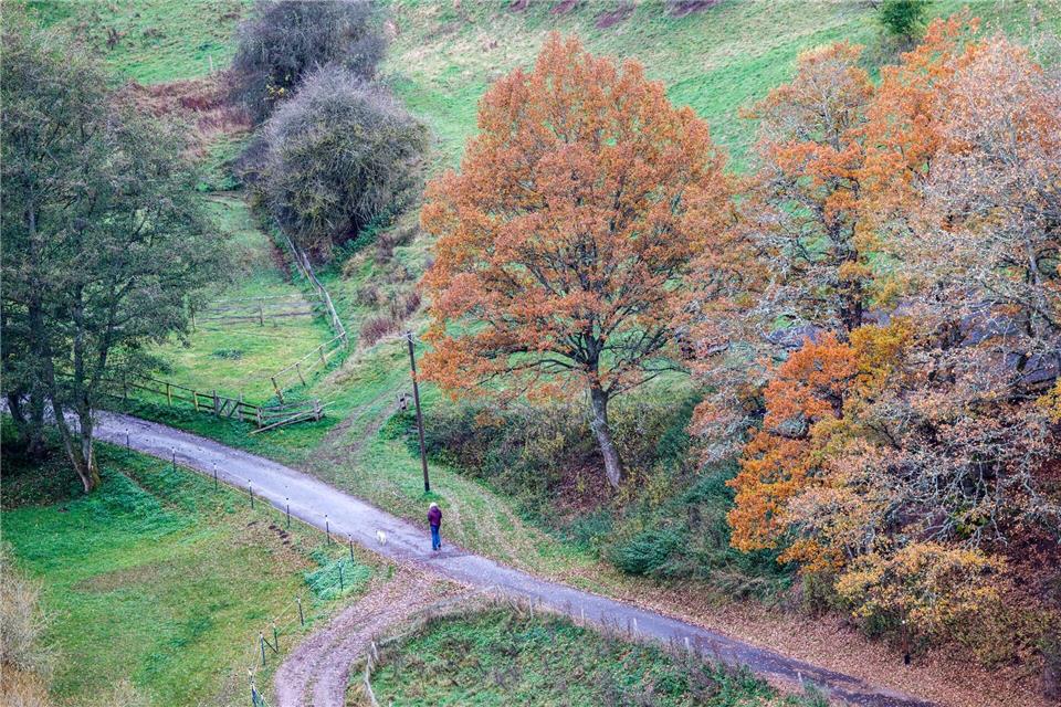In NRW wird in der neuen Woche herbstliches Wetter erwartet.Thomas Banneyer/dpa