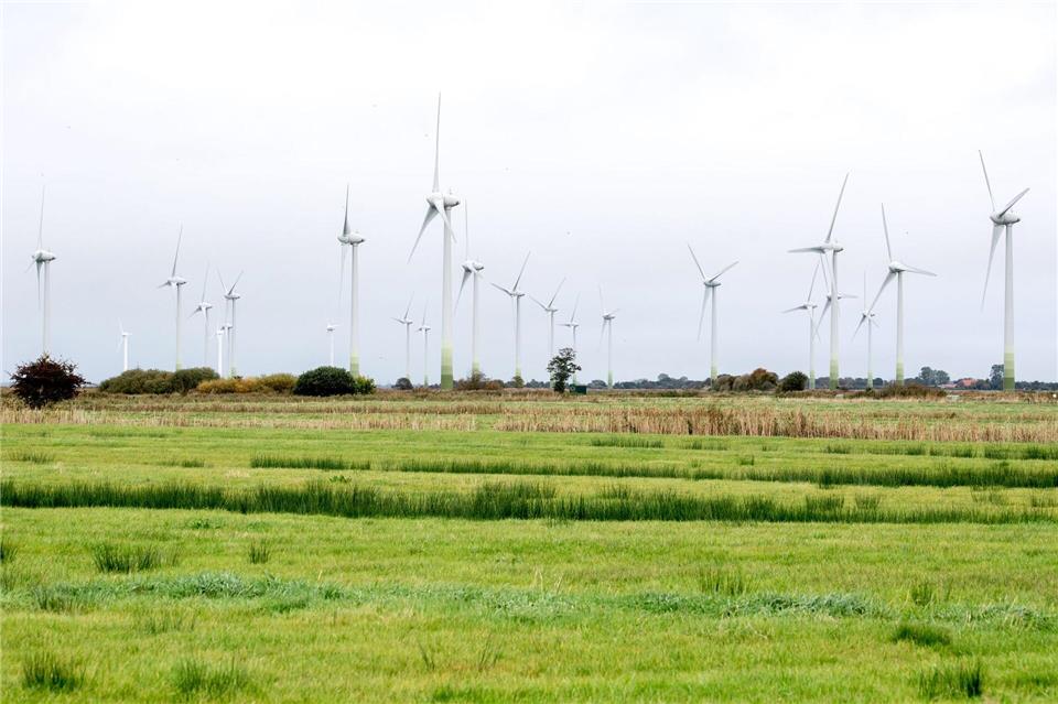 Niedersachsen treibt Ausbau der Windkraft weiter voran  In Niedersachsen drehen sich immer mehr Windräder. (Archivbild)Hauke-Christian Dittrich/dpa