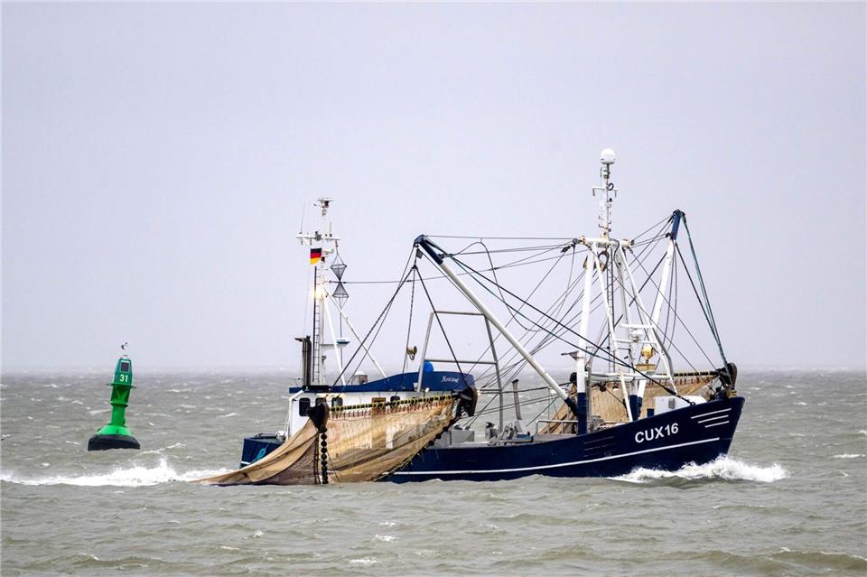 In Niedersachsen soll ein Fischereidialog klären, wo künftig im Wattenmeer gefischt werden darf. (Archivbild)Sina Schuldt/dpa