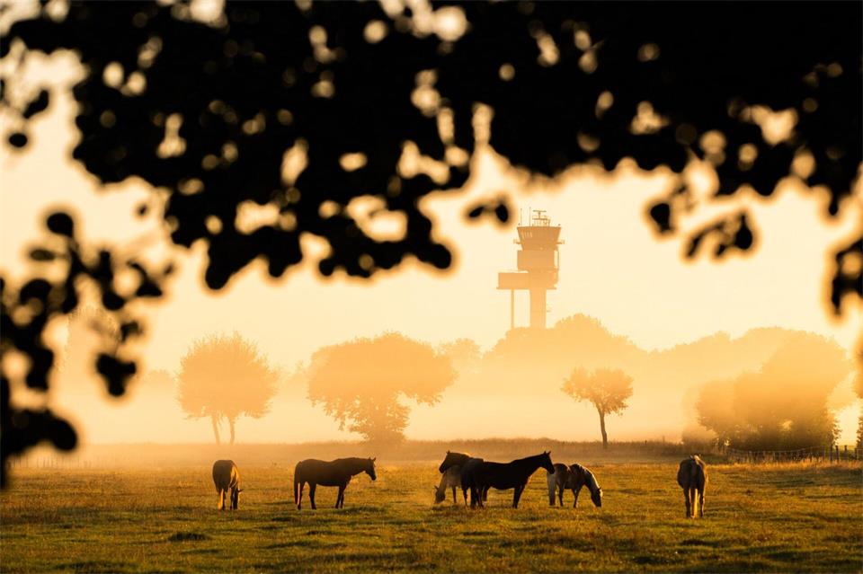 In Niedersachsen und Bremen werden zu Wochenbeginn sommerliche Temperaturen erwartet. (Symbolbild)Julian Stratenschulte/dpa