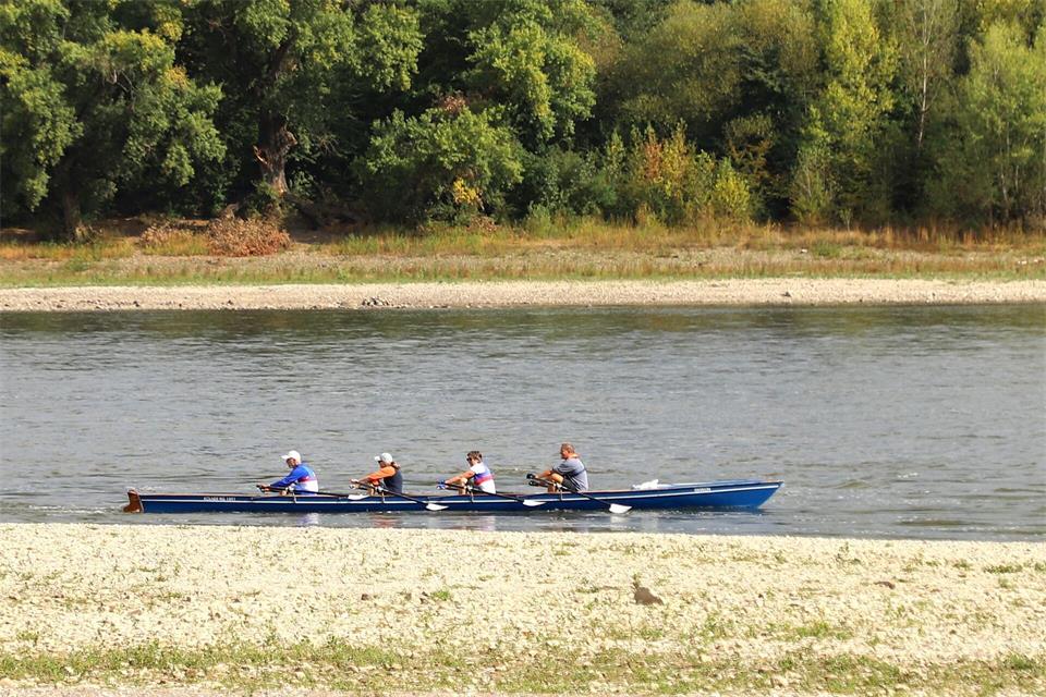 In Nordrhein-Westfalen führt der Rhein weiterhin wenig Wasser. Die Pegelstände haben Rekordwerte. (Archivbild)Sascha Thelen/dpa