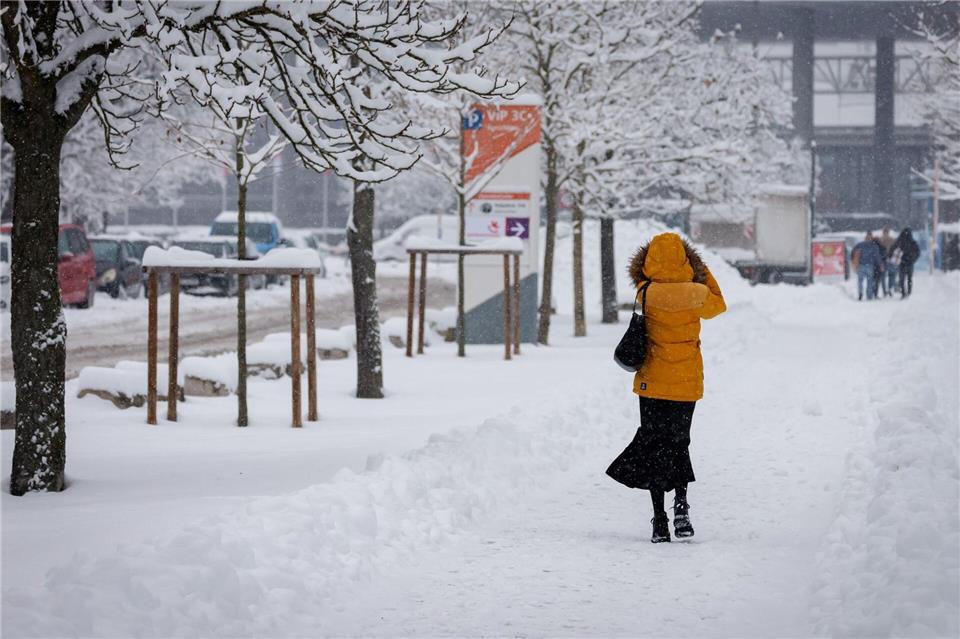 In Nürnberg hat sich viel Schnee auf den Ästen der Bäume gesammelt. Deshalb bleiben zwei große Friedhöfe vorsichtshalber geschlossen. (Symbolbild)Daniel Karmann/dpa