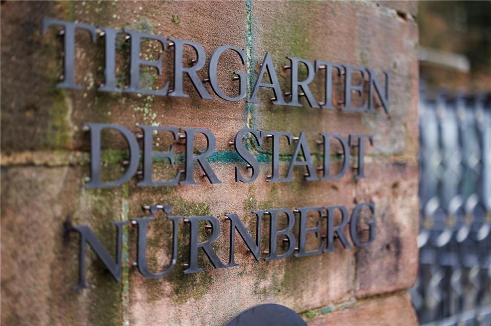 In Nürnberg sind rund 50 Vogelarten von strengen Schutzmaßnahmen betroffen. (Archivbild)Daniel Karmann/dpa