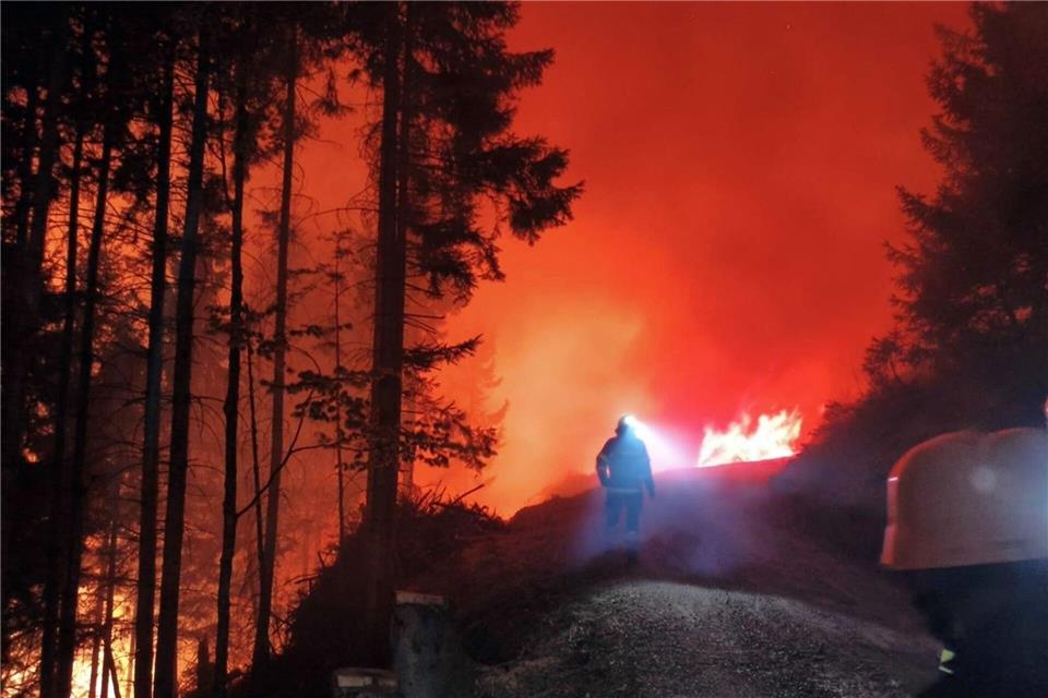 In Österreich steht eine Fläche von 110 Hektar in Flammen.Unbekannt/FF LIESING/dpa