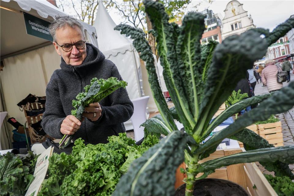 In Oldenburg wird der Beginn der Grünkohlsaison traditionell groß gefeiert.Focke Strangmann/dpa