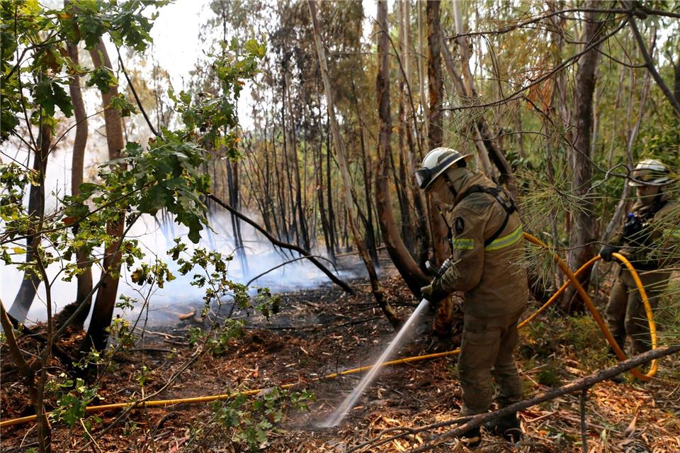 In Portugal gibt es eine leichte Entspannung bei den schweren Waldbränden. Noch aber sind rund 1.400 Feuerwehrleute im Einsatz.Xun Wei/XinHua/dpa