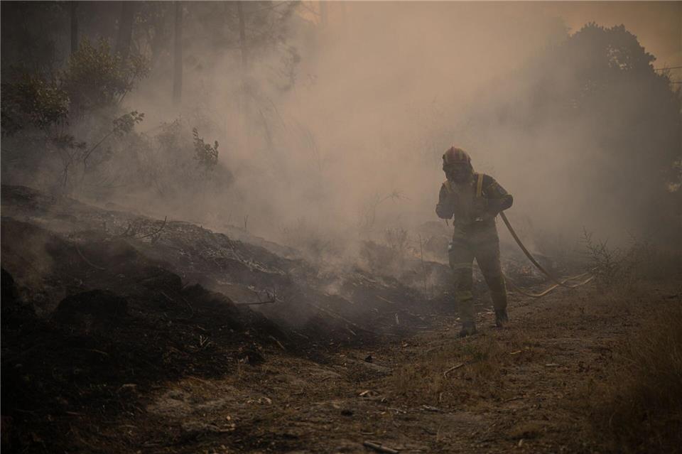 In Portugal wurde eine Fläche so groß wie das Saarland von den Flammen zerstört. (Archivbild)Elena Fernandez/ZUMA Press Wire/dpa