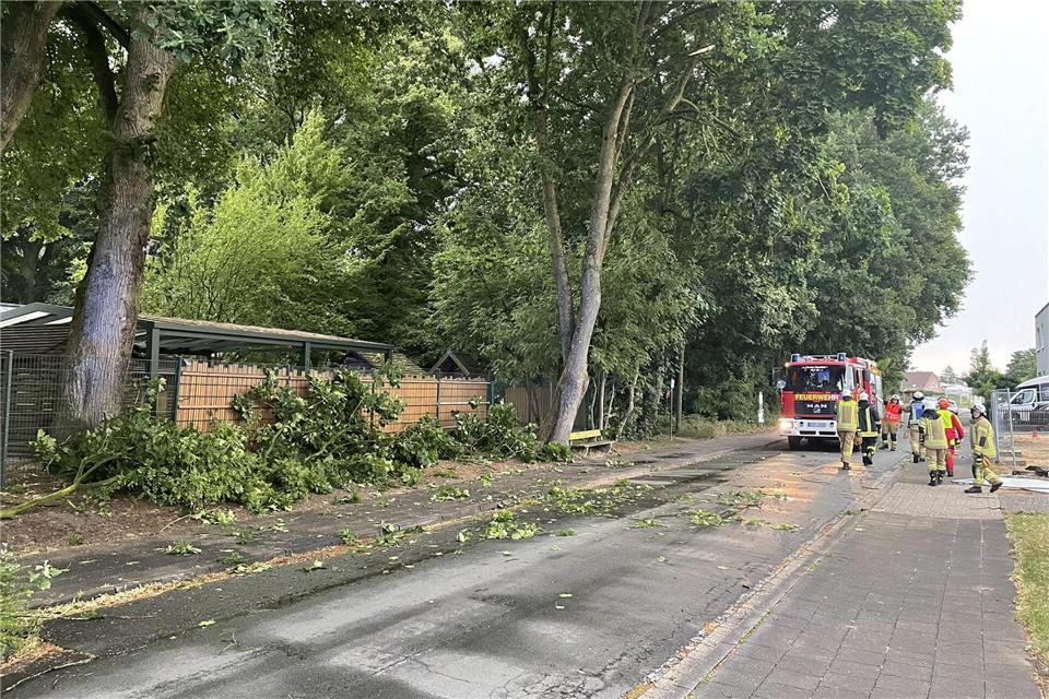 In Raesfeld hat das Gewitter mehrere Bäume beschädigt und auch größere Äste herabstürzen lassen.