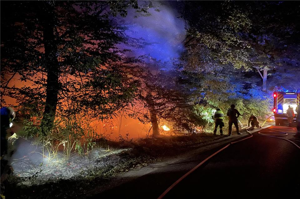 In Raesfeld hat es in der Nacht zu Samstag (15. August) in einem Waldstück gebrannt.