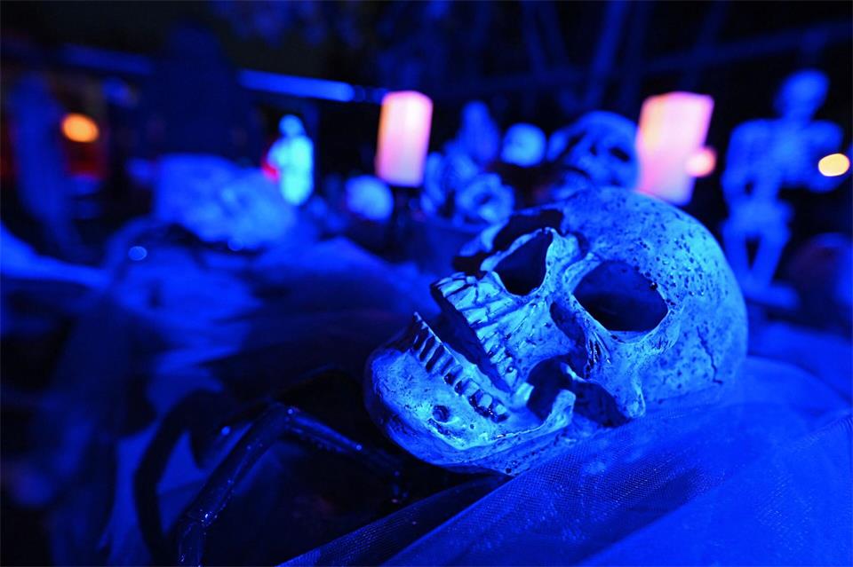 In Rheinland-Pfalz können an Halloween zahlreiche schaurige Orte besucht werden. (Symbolbild) Jennifer Brückner/dpa