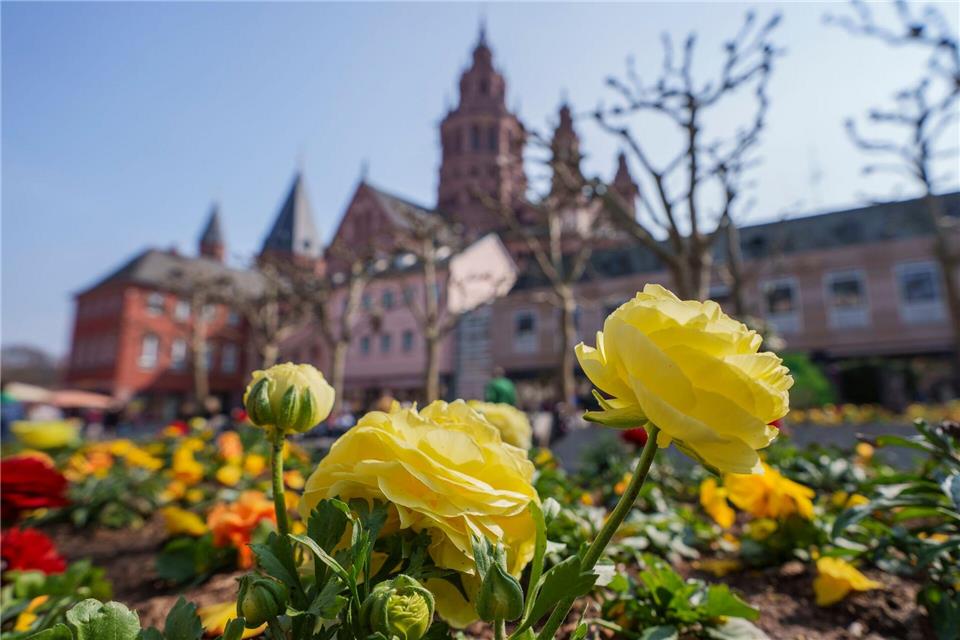 In Rheinland-Pfalz und dem Saarland scheint zu Beginn der neuen Woche die Sonne. (Symbolbild)Andreas Arnold/dpa