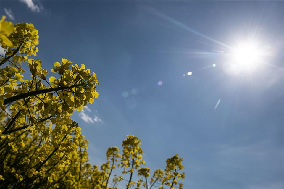 In Rheinland-Pfalz und im Saarland zeigt sich die Sonne. (Symbolbild)Swen Pf�rtner/dpa