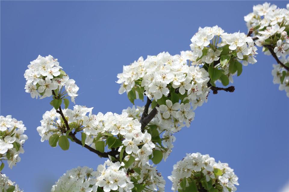 In Sachsen-Anhalt scheint heute wieder die Sonne. (Archivbild)Matthias Bein/dpa