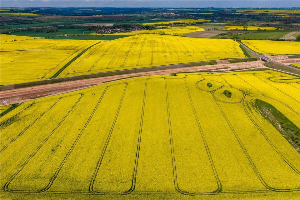 In Sachsen-Anhalt wird das Wetter in den nächsten Tagen wieder freundlicher. (Archivbild)Jan Woitas/dpa