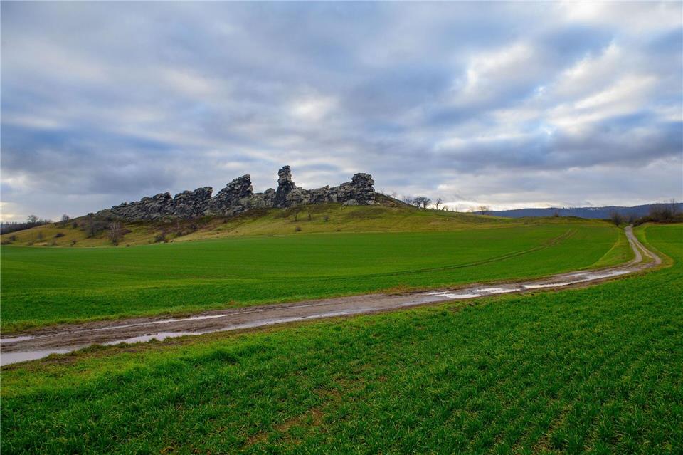 In Sachsen-Anhalt wird das Wetter mild, aber regnerisch. (Archivbild)Klaus-Dietmar Gabbert/dpa