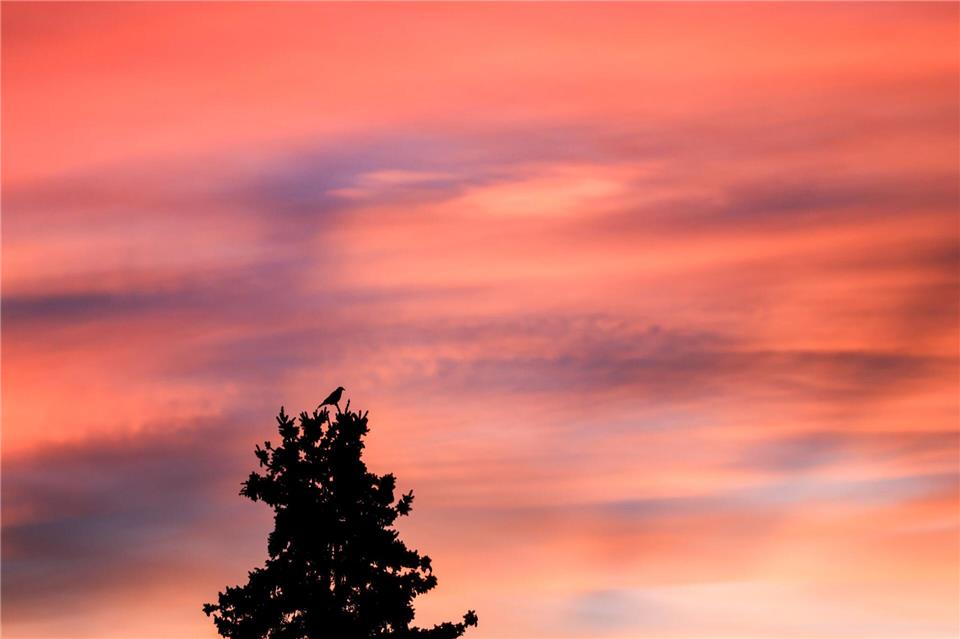 In Sachsen kommt es zu milden Temperaturen. (Symbolbild)Jan Woitas/dpa