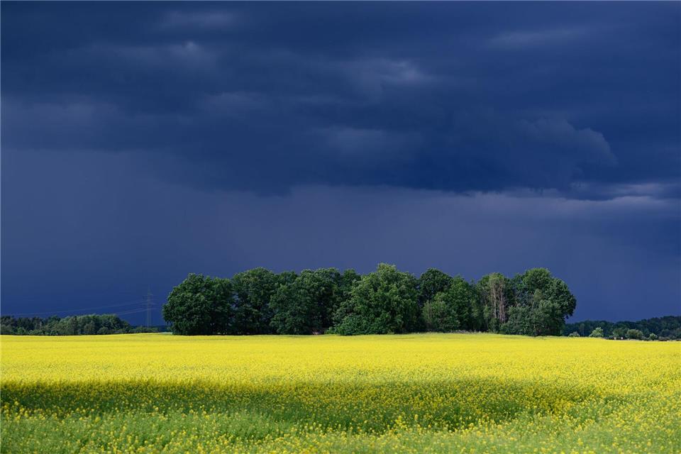 In Sachsen werden zum Wochenende Gewitter und Schauer erwartet. (Archivbild)Robert Michael/dpa