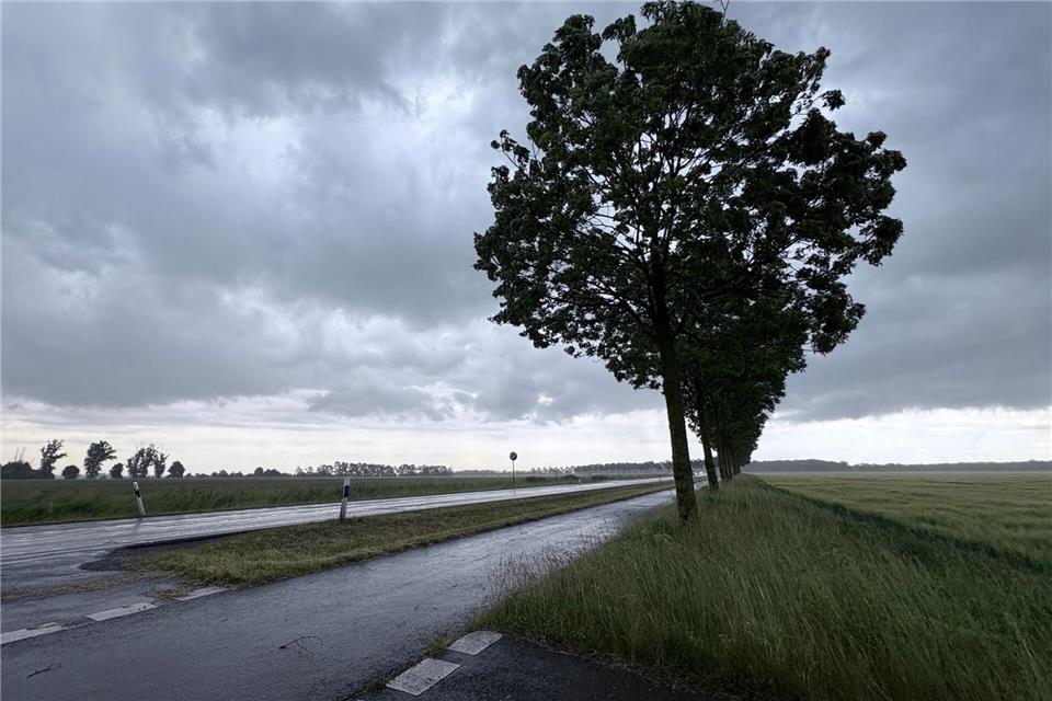 In Sachsen wird es am Wochenende stürmisch. (Archivbild)Christian Grube/NEWS5/dpa