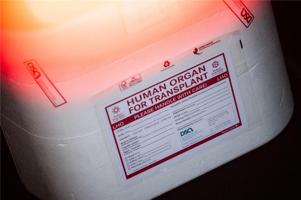 In Schleswig-Holstein warten 427 Patientinnen und Patienten auf eine Organspende. (Symbolbild)Sebastian Gollnow/dpa