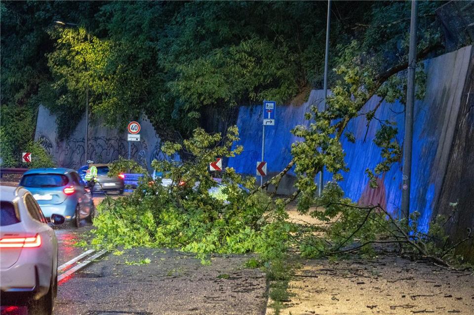 In Stuttgart fielen einige Bäume um - die Feuerwehr hatte dutzende Einsätze. Daniel Kessler/onw-images/dpa