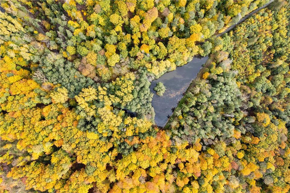 Wetter in Hessen bleibt herbstlich In Südhessen scheint zwischendurch die Sonne. (Archivbild)Boris Roessler/dpa