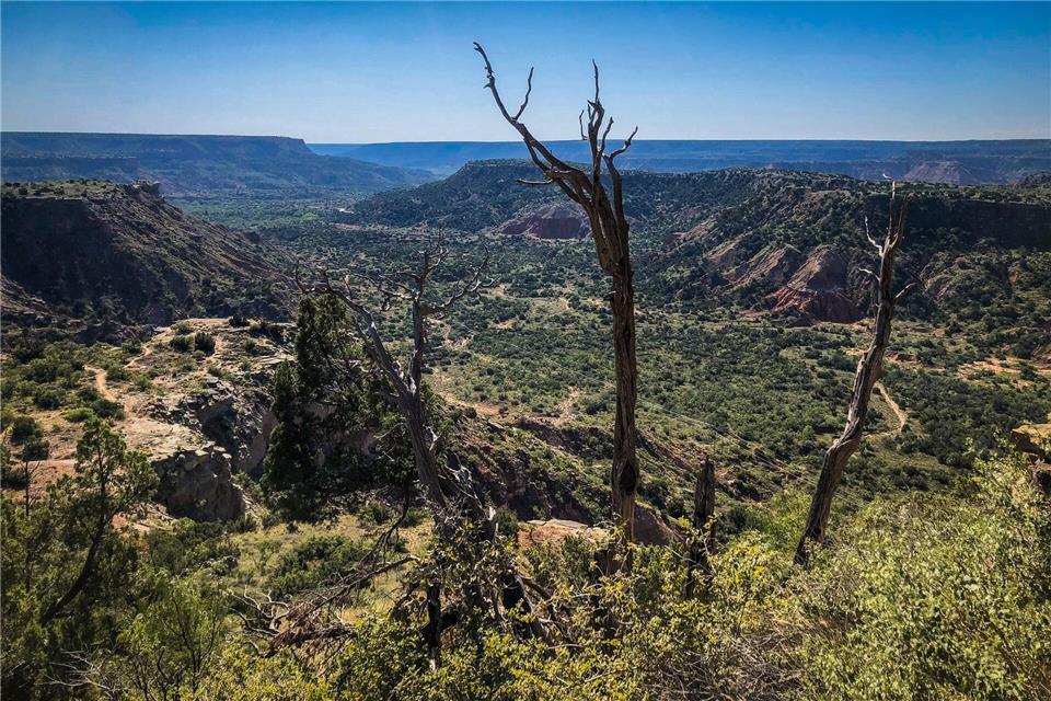 In Texas passiert die Route 66 den Palo Duro Canyon.Ralf Johnen/dpa-tmn