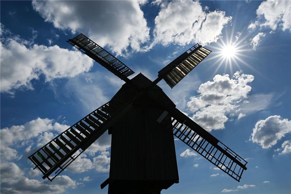 Historische Mühlen sind nicht immer nur Denkmal In Thüringen gibt es aktuell 140 Mühlen. Etwa ein Dutzend stellt noch traditionell Mehl, Öl oder Senf her. (Symbolbild)Martin Schutt/dpa-Zentralbild/dpa