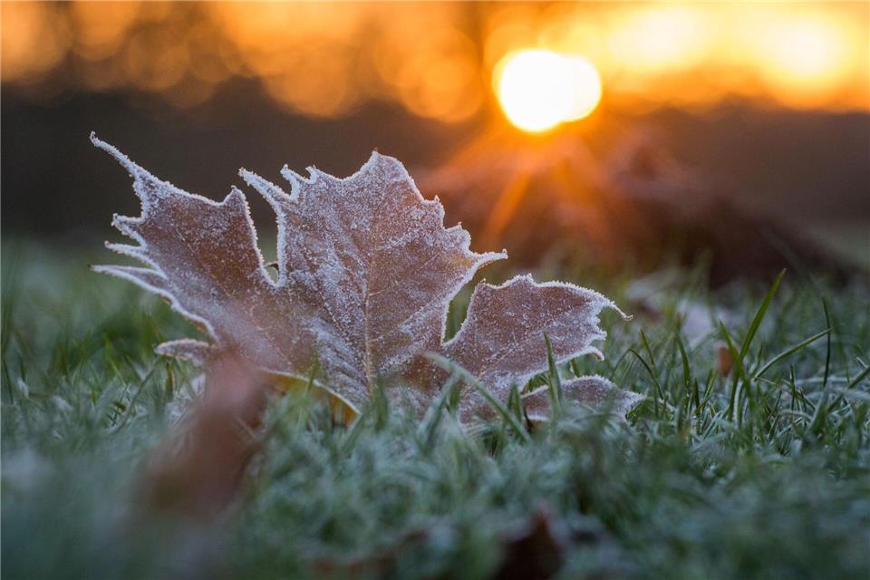 In Thüringen ist das Wetter sonnig und kalt. (Archivbild)Candy Welz/dpa-Zentralbild/dpa