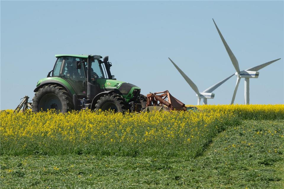 In Thüringen werden derzeit 8,3 Prozent der Landwirtschaftsfläche ökologisch bewirtschaftet. (Archivbild)Sebastian Kahnert/dpa-Zentralbild/dpa