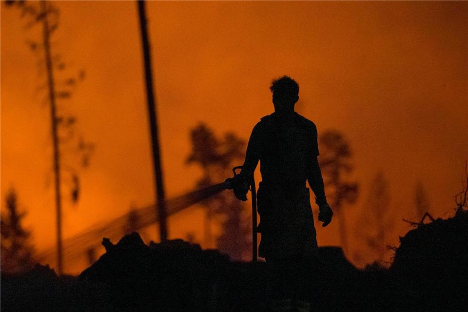 In Thüringen wurden 2025 deutlich mehr Waldbrände gezählt als im Jahr zuvor, besonders der Brand auf der Saalfelder Höhe machte sich in der Waldbrandstatistik bemerkbar. (Archivbild)Daniel Vogl/dpa