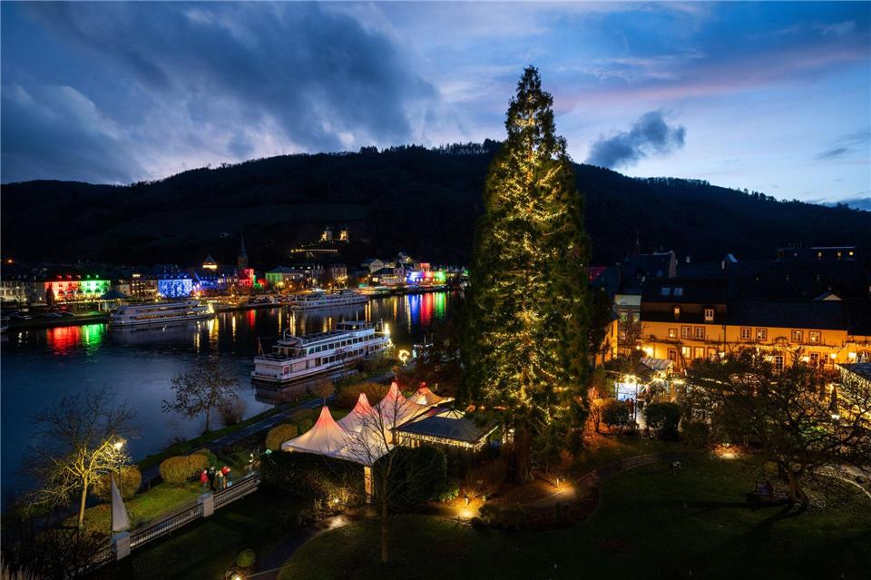 In Traben-Trarbach steht ein besonderer Weihnachtsbaum.Harald Tittel/dpa