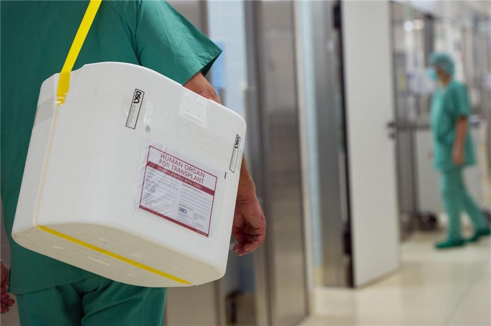 In Transportbehältern werden Spenderorgane in Kliniken angeliefert. (Symbolbild)Soeren Stache/dpa