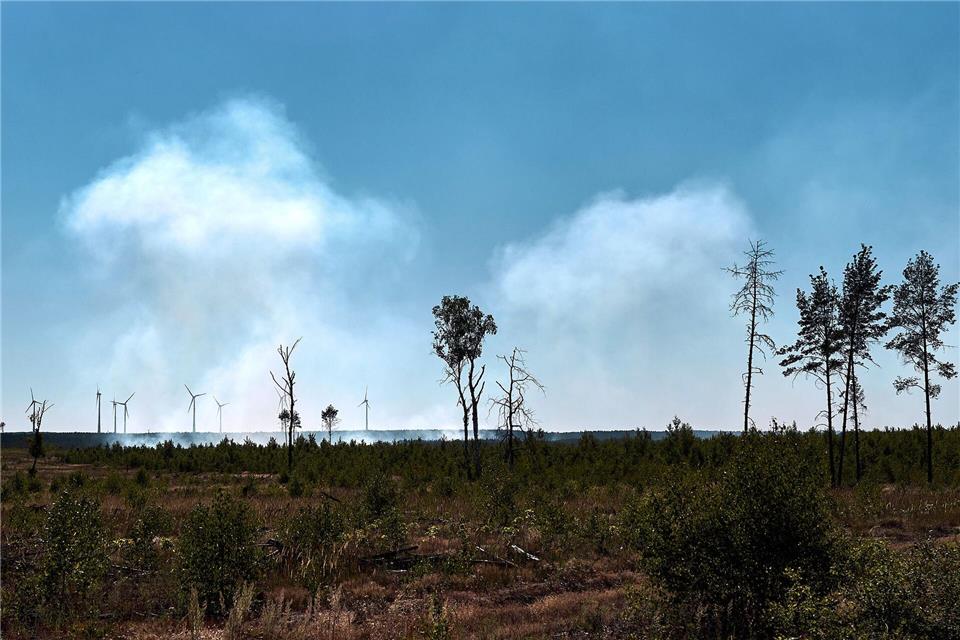 In Treuenbrietzen brennen rund 13 Hektar Waldfläche. Michael Ukas/dpa