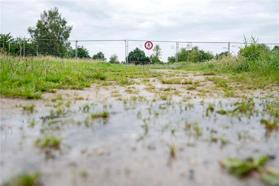 Alligator-Suche in Vechta geht weiter In Vechta ist der Bereich um ein Regenrückhaltebecken gesperrt, es wird dort versucht, einen Alligator mit einer Lebendfalle einzufangen. Hauke-Christian Dittrich/dpa