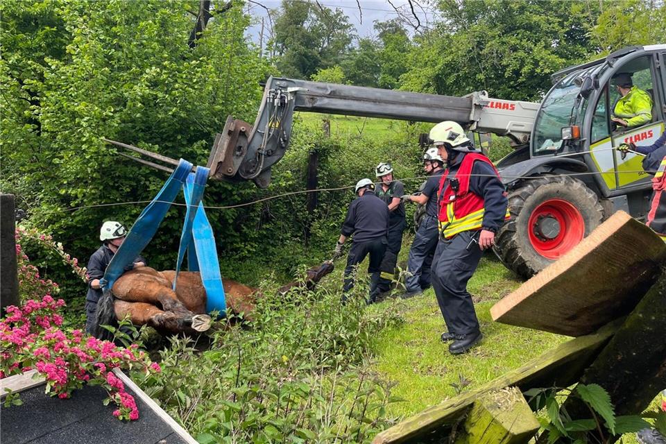 In Velbert befreien Einsatzkräfte ein Pferd aus seiner misslichen Lage.  Feuerwehr Velbert/dpa
